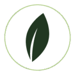 Stylized leaf icon to represent "Clean Energy"